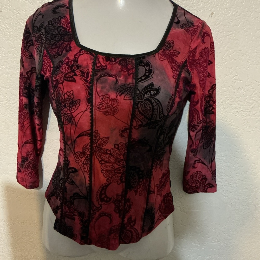 Y2K Velvet Burnout Top Sz S Dark Fairy Grunge Red Whimsigoth Witchy Lace Trim